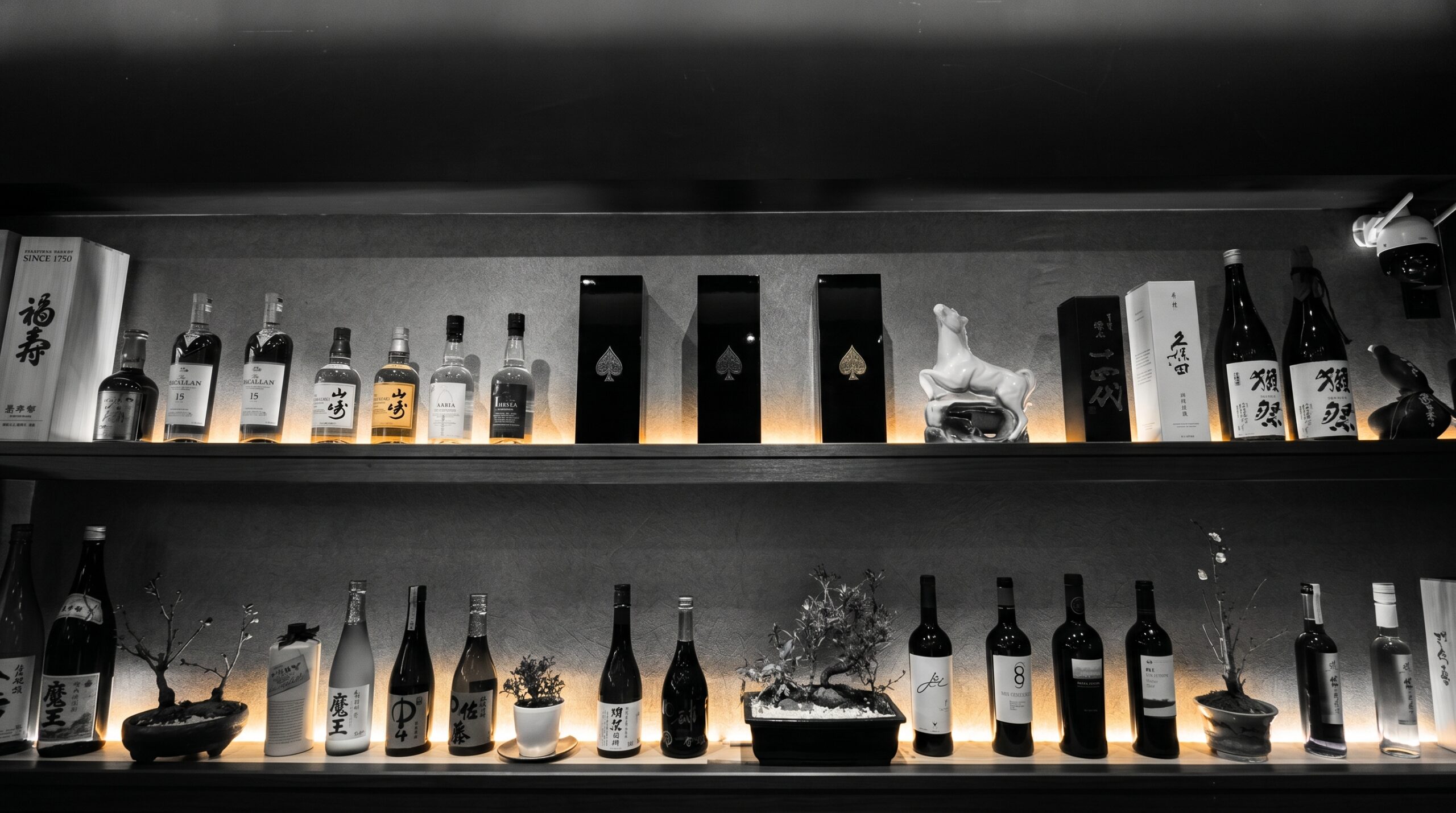 十四代などの珍しい日本酒やシャンパンもある酒棚